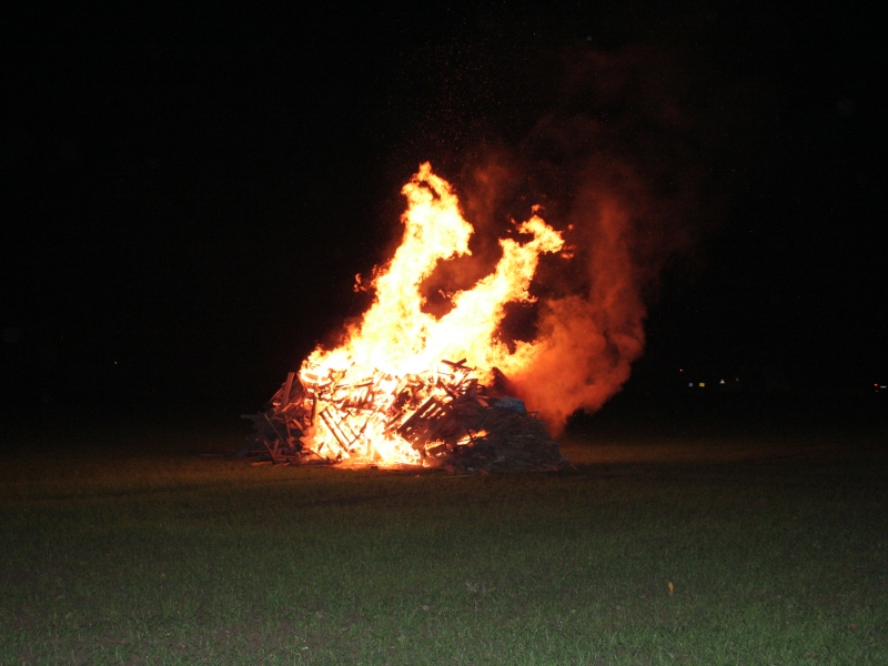 Sankt Martin 2014