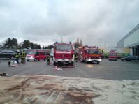 Mit mehreren Fahrzeugen waren die Einsatzkräfte vor Ort.