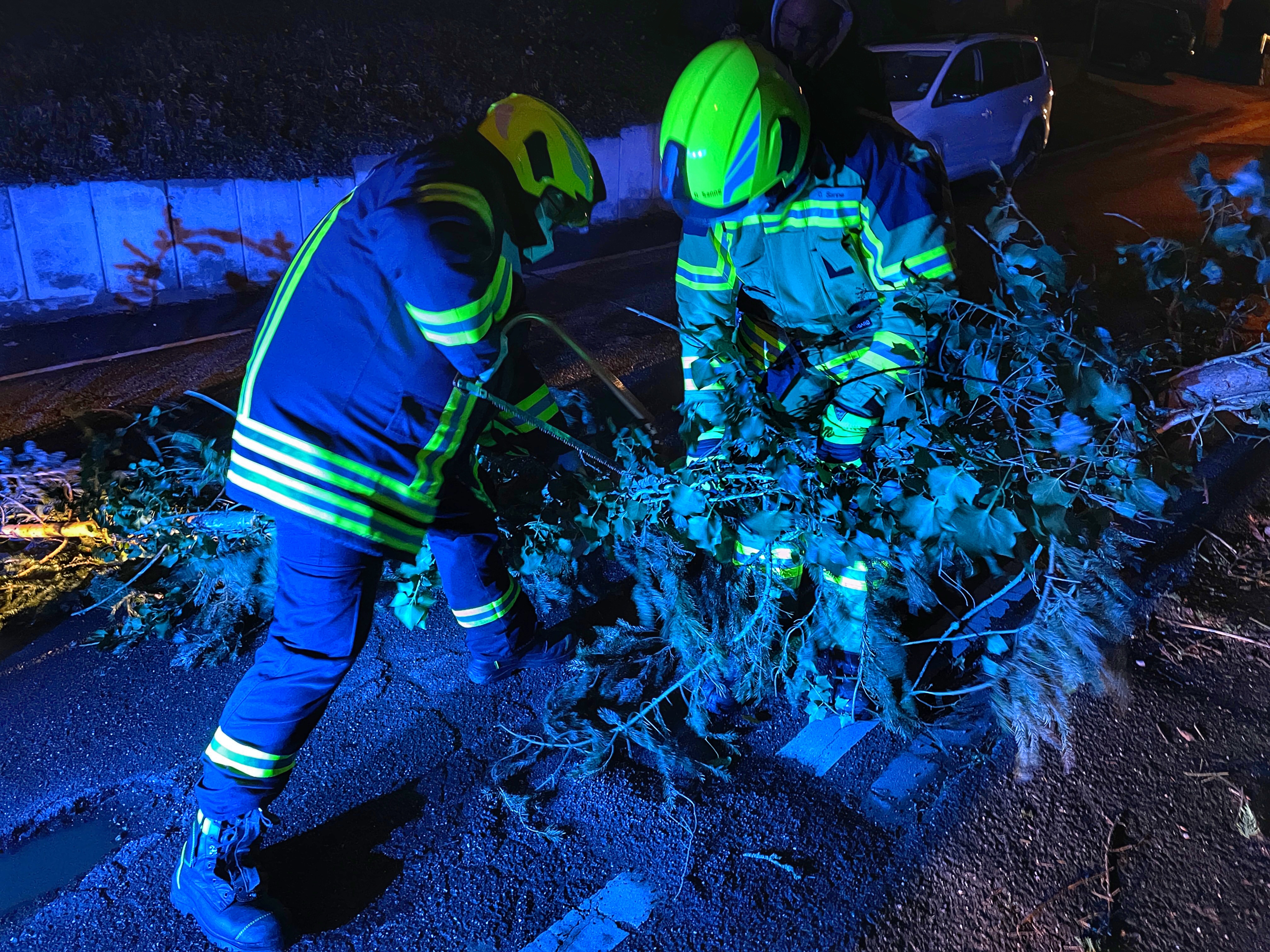 Baum auf Straße gekippt