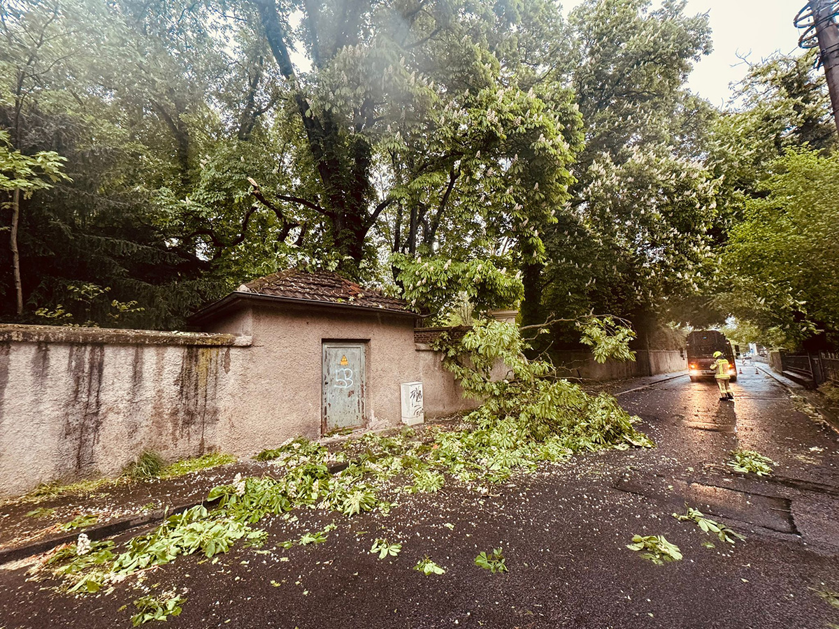 Baum auf Stromhäuschen gefallen