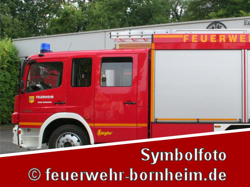 Symbolfoto PKW Brand